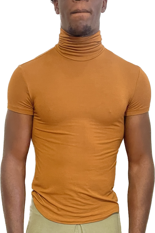 Short Sleeve Turtleneck