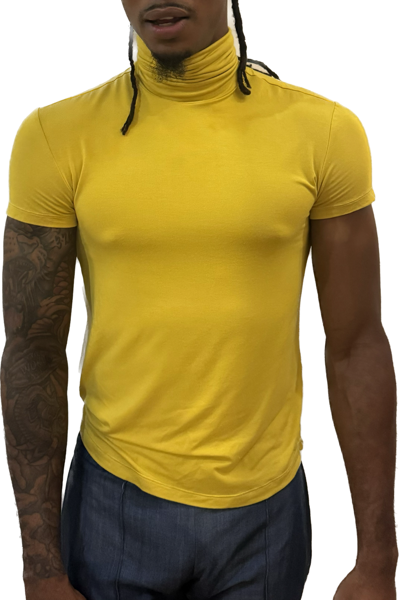 Short Sleeve Turtleneck