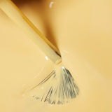 Trip Around The Sun - Classic Lacquer