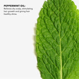 Peppermint Essential Oil with MCT
