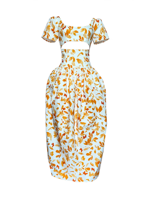 Printed Hour Glass Cut Out Dress
